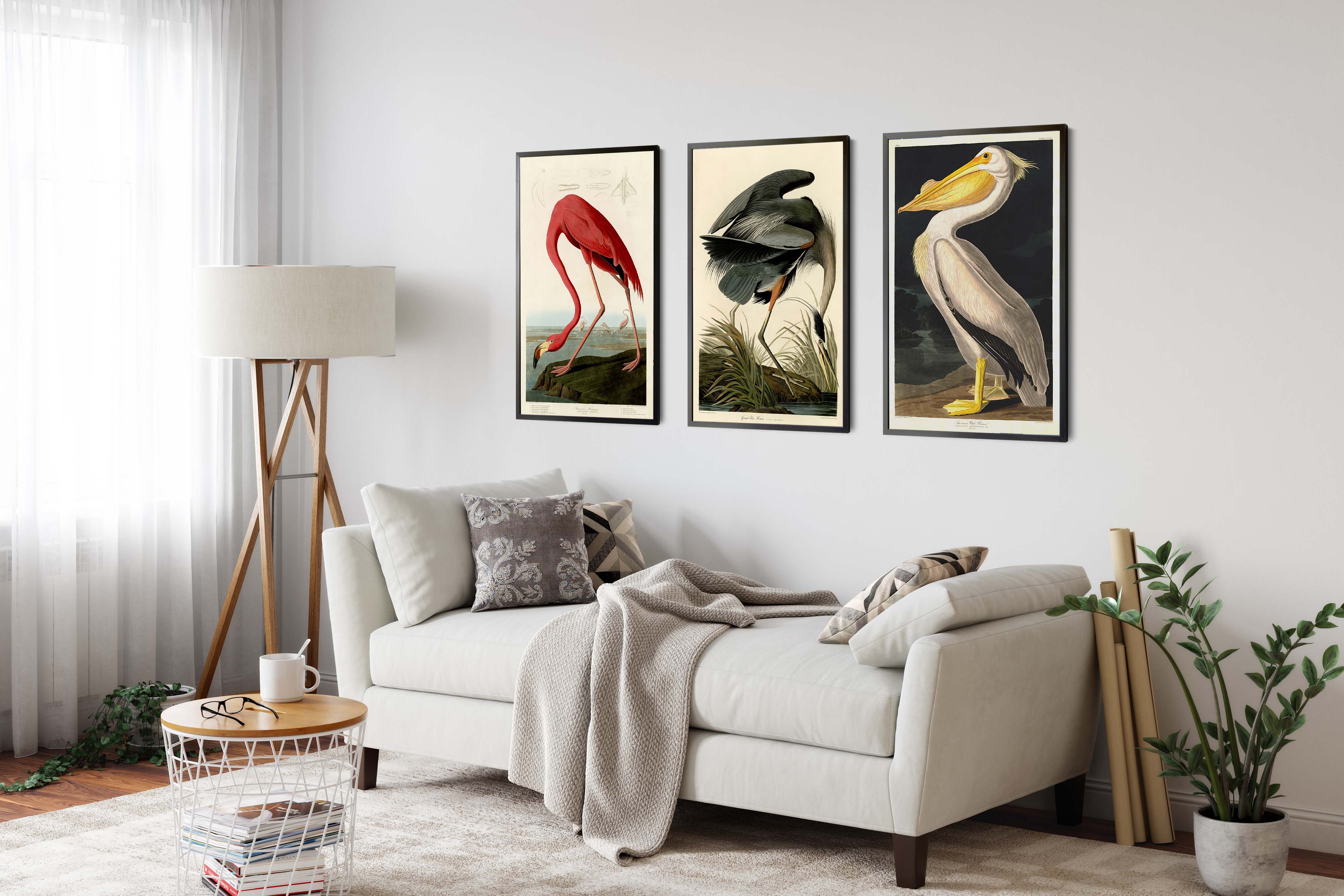 Birds of America - Set of 3 - Image 4