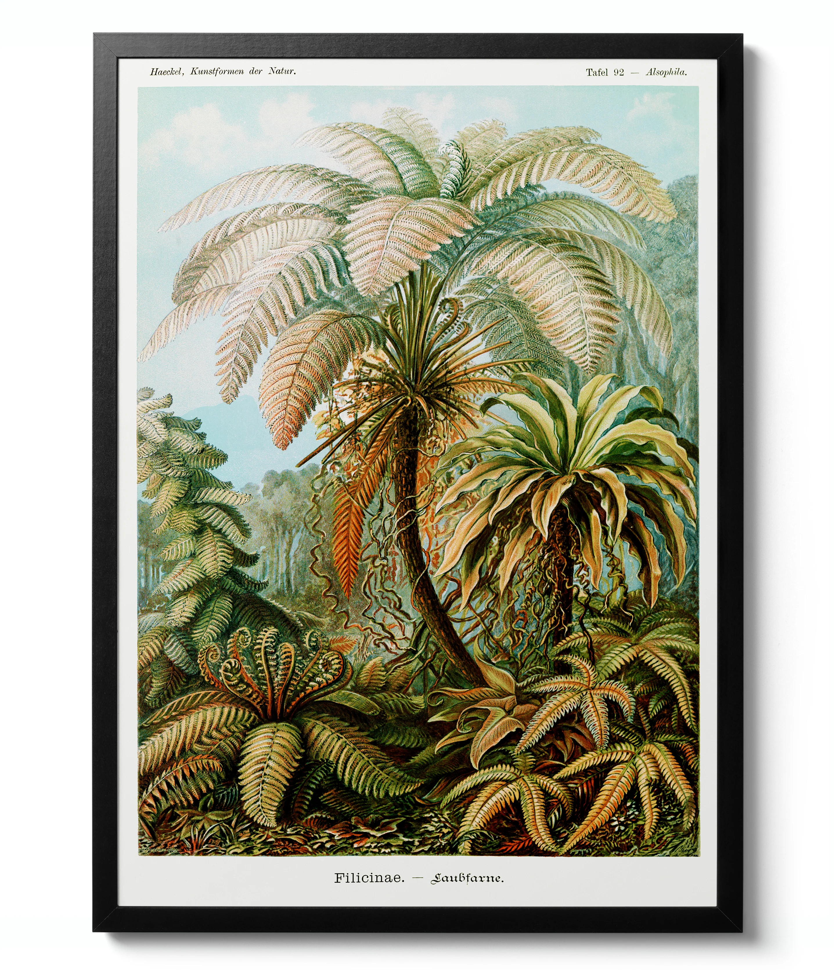 Botanical Trees - Set of 3 - Image 6